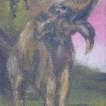 n-0063